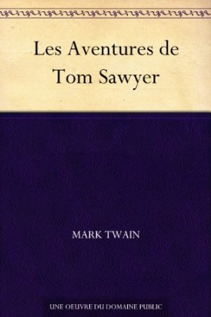 Les Aventures de Tom Sawyer  (2016)