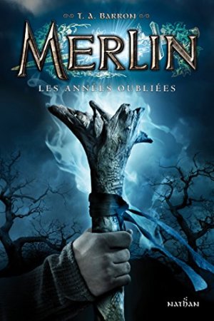 Les années oubliées (Merlin t. 1)  (2013)