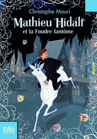 Mathieu Hidalf et la foudre fantôme- (Tome 2)  (2014)