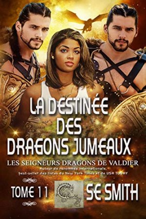 La destinée des dragons jumeaux (Les Seigneurs Dragons de Valdier t. 11) (2020)