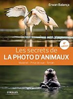Les secrets de la photo d'animaux: Matériel - Prise de vue - Terrain (2018)