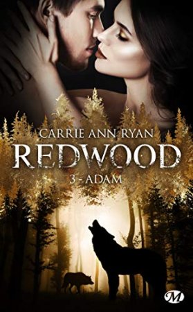 Adam: Redwood- T3 (2019)