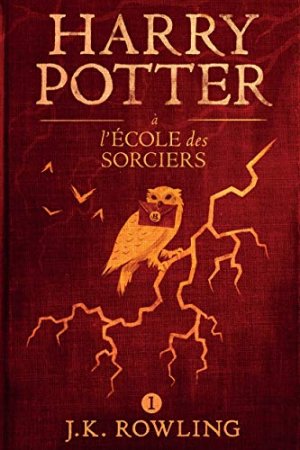 Harry Potter à L'école des Sorciers (2015)