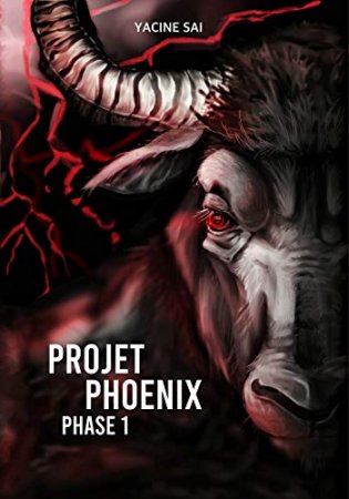 Projet Phoenix: Phase 1 (2019)