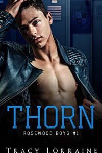 Thorn: Un roman d’amour noir au lycée (Rosewood Boys t. 1) (2022)